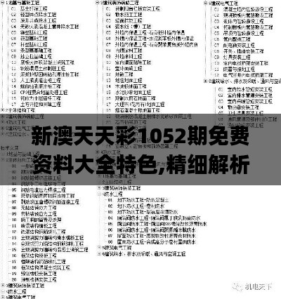 新澳天天彩1052期免费资料大全特色,精细解析评估_4DM18.614