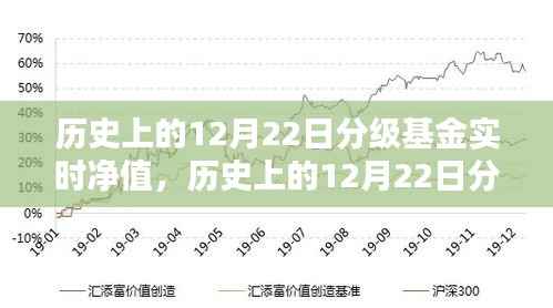 历史上的12月22日分级基金实时净值详解,查询步骤指南(适用于初学者与进阶用户)