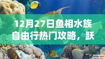 12月27日鱼相水族心灵之旅,深蓝海洋自由行攻略