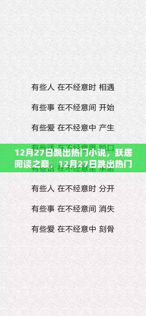 12月27日热门小说跃居阅读之巅，全面评测与介绍