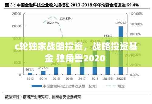 c轮独家战略投资,战略投资基金 独角兽2020