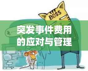 突发事件费用的应对与管理,核心价值与不可忽视的重要性