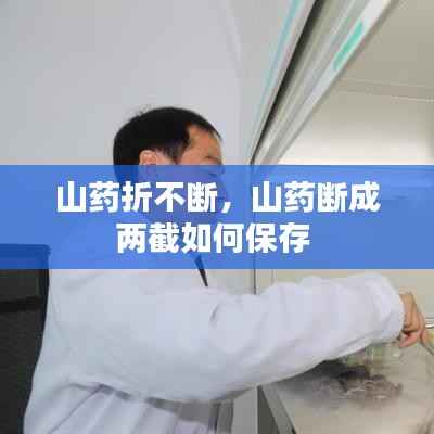 山药折不断，山药断成两截如何保存 