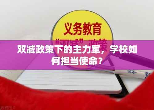 双减政策下的主力军，学校如何担当使命？