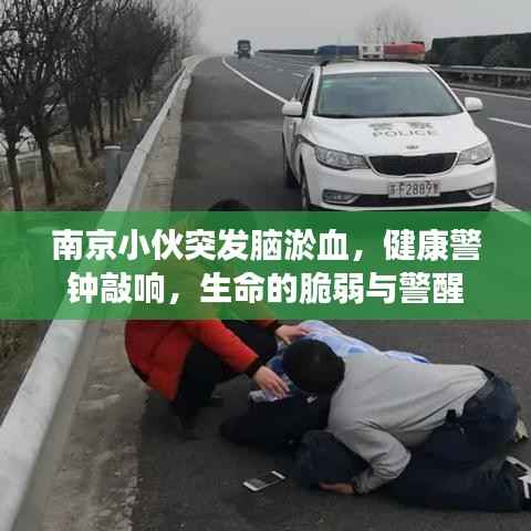 雅量高致