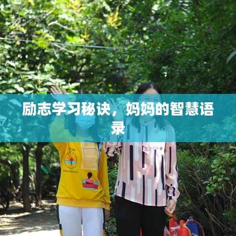 励志学习秘诀，妈妈的智慧语录
