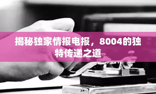 揭秘独家情报电报,8004的独特传递之道