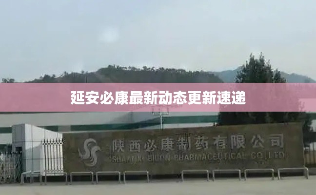 冰肌玉骨