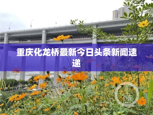 三人成虎
