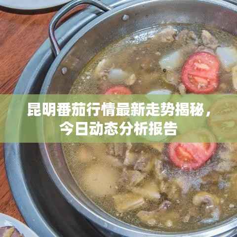 昆明番茄行情最新走势揭秘，今日动态分析报告