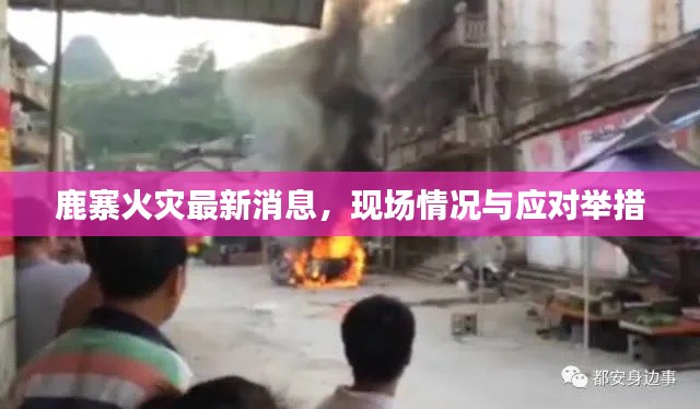 鹿寨火灾最新消息，现场情况与应对举措
