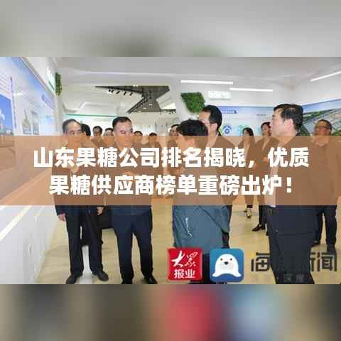 山东果糖公司排名揭晓,优质果糖供应商榜单重磅出炉!