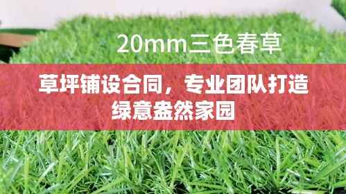 草坪铺设合同，专业团队打造绿意盎然家园