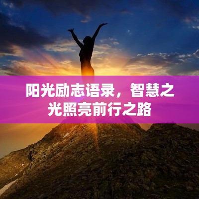 阳光励志语录，智慧之光照亮前行之路