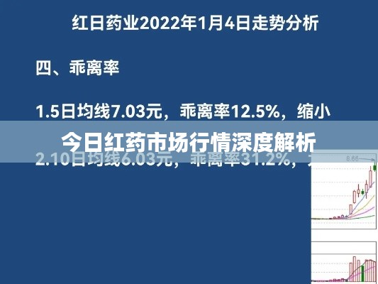 定谋贵决