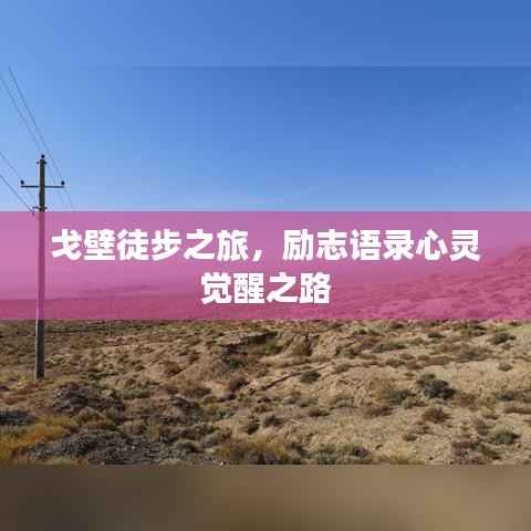 学贯中西