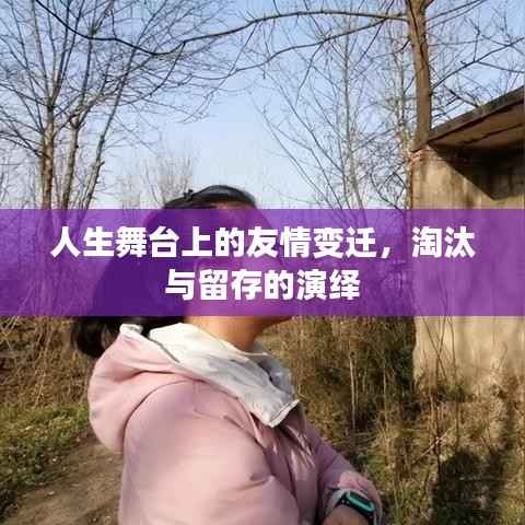 肝胆相照