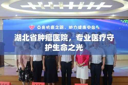 湖北省肿瘤医院,专业医疗守护生命之光