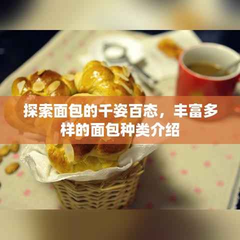 拾金不昧