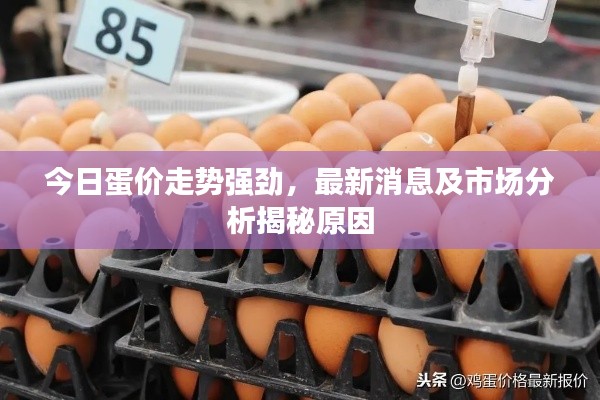 今日蛋价走势强劲,最新消息及市场分析揭秘原因