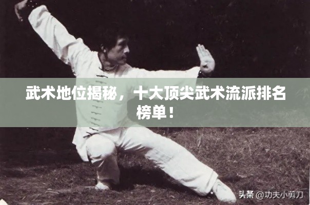 武术地位揭秘,十大顶尖武术流派排名榜单!