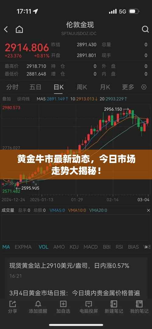 黄金牛市最新动态，今日市场走势大揭秘！