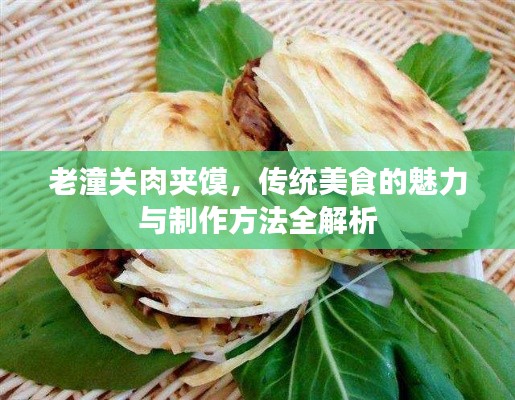 老潼关肉夹馍,传统美食的魅力与制作方法全解析