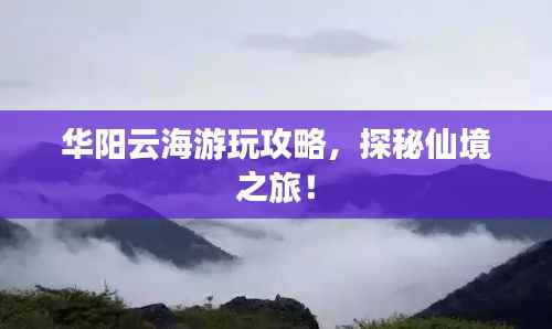 飞黄腾达