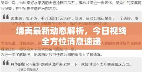 埔美最新动态解析，今日视线全方位消息速递