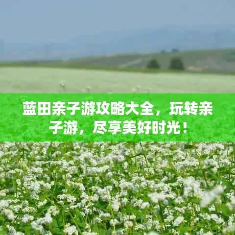 蓝田亲子游攻略大全，玩转亲子游，尽享美好时光！