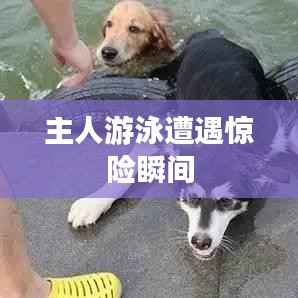 钝学累功 第2页