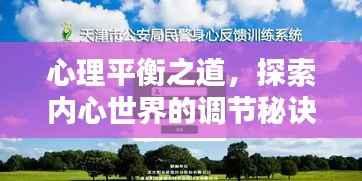 心理平衡之道,探索内心世界的调节秘诀专题
