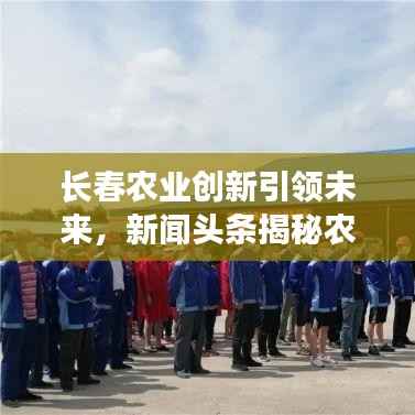 长春农业创新引领未来，新闻头条揭秘农业新动向与发展战略