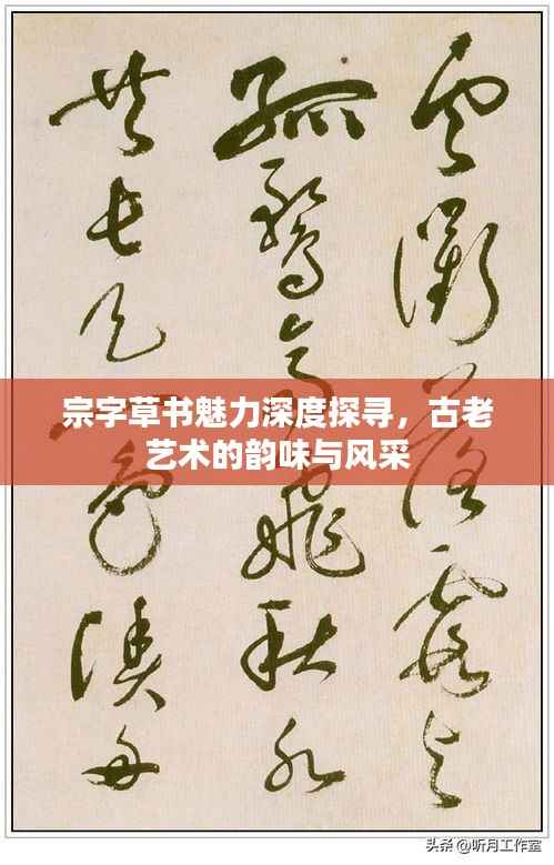 腾龙换鸟