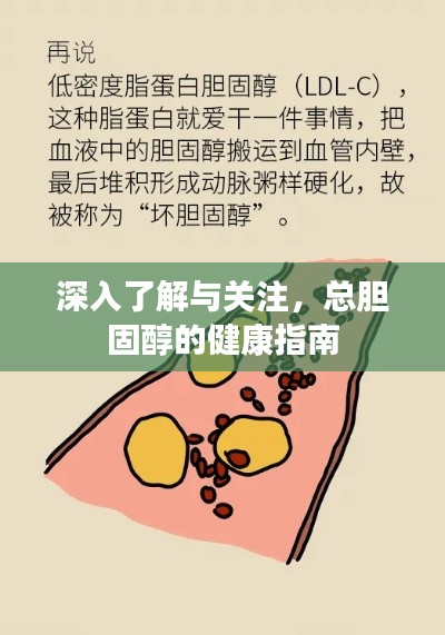 深入了解与关注,总胆固醇的健康指南