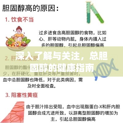 深入了解与关注,总胆固醇的健康指南