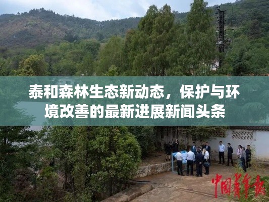 泰和森林生态新动态，保护与环境改善的最新进展新闻头条