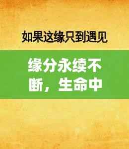 笔走如飞