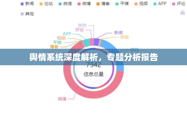 舆情系统深度解析，专题分析报告